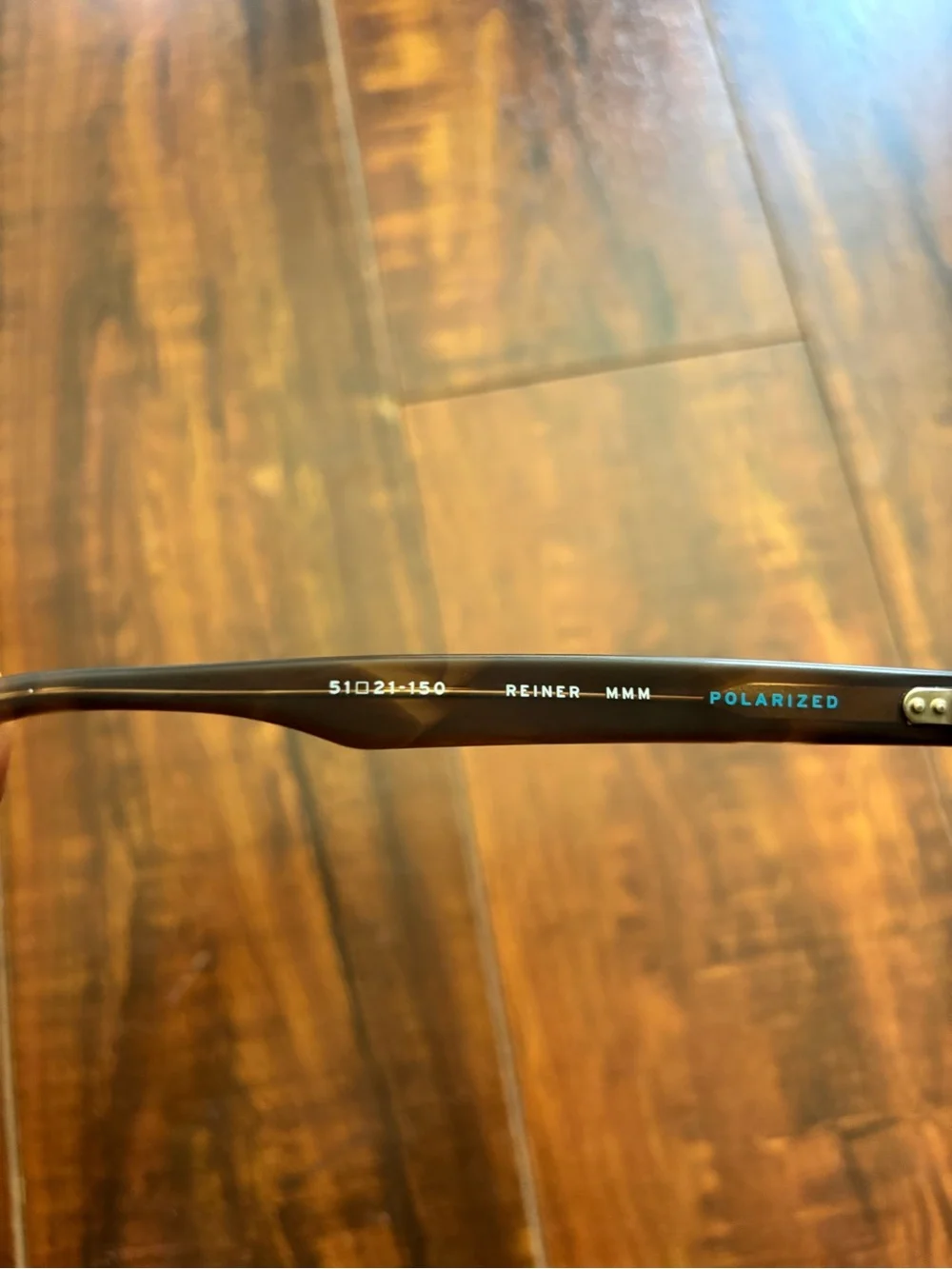 Salt Reiner Polarized Sunglasses